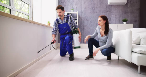 Reliable Perrysburg, OH Pest Control Solutions